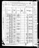 Census/1880 Census Dorothy Marshall NY NY.jpg